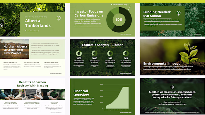 Sleek Pitch Deck Design & Refinement for Environmental Company
