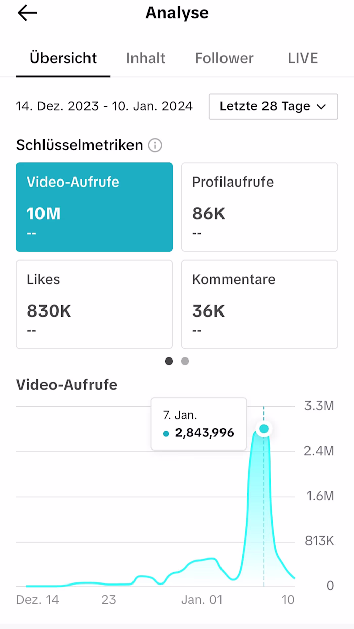 TikTok Management