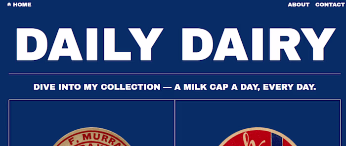 Daily Diary