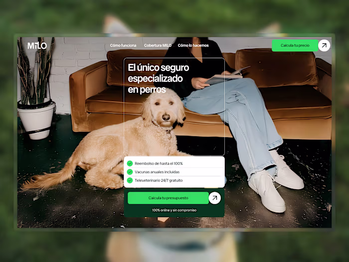 Design and creative direction: Polariza