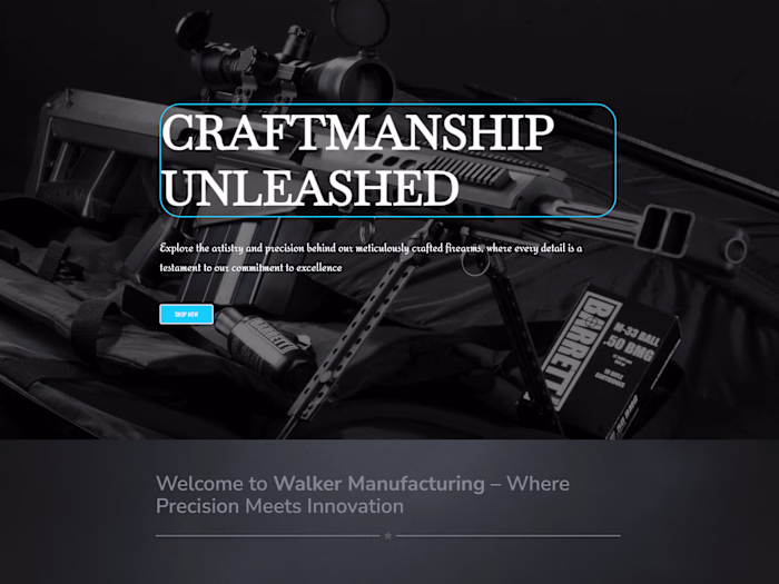 Ecommerce Website design