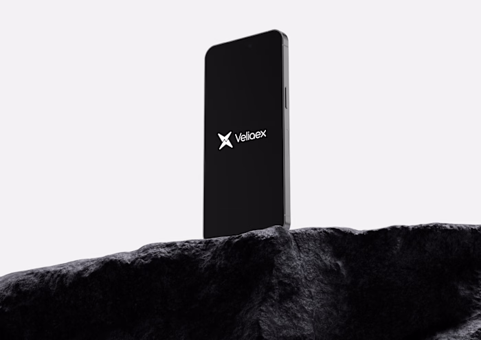 Crafting a unique Brand identity for Veliaex ; An FX startup