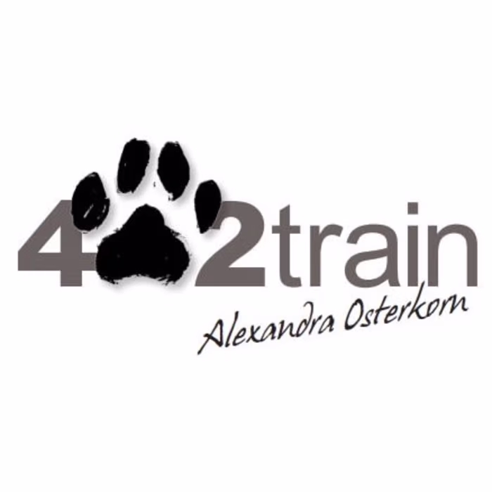 Custom WordPress Website for a Dog Training Institute