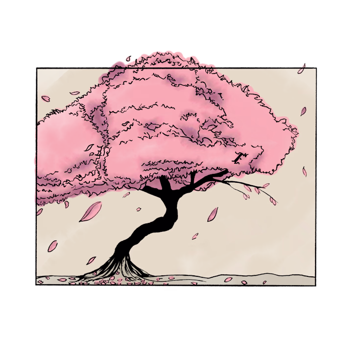 Sakura tree