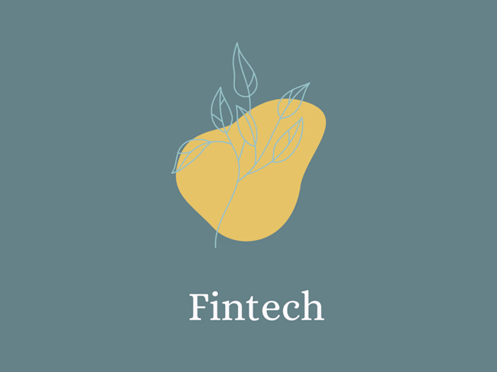 Understanding Young Women's Interaction with Fintech