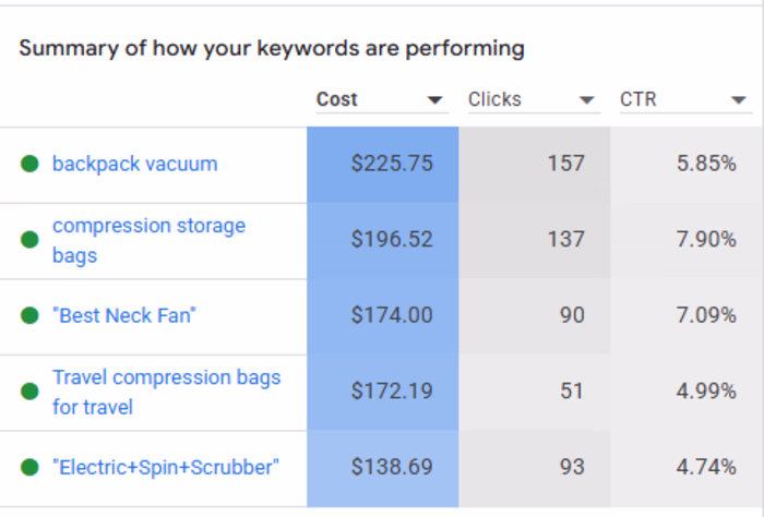 Google Ads Keywords Performance