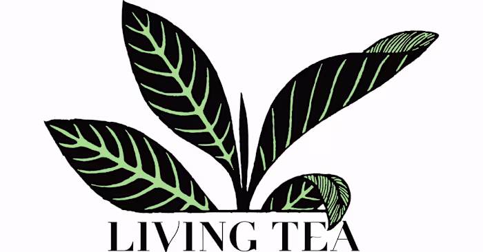 Rare and Living Teas, Fine Pots and Wares, A Space to Be Brewed