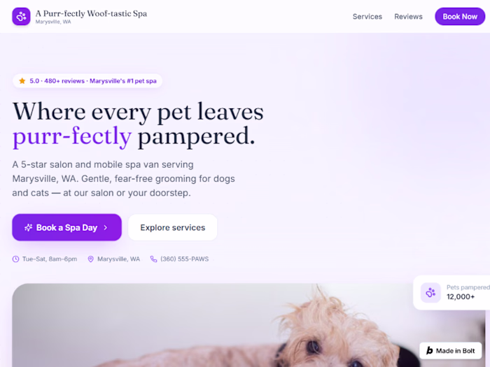 Pet Spa Digital Architecture Revamp