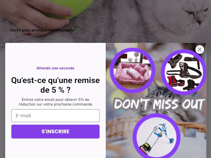 Shopify marketing 
