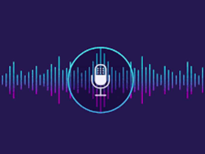 Voice assistant 
