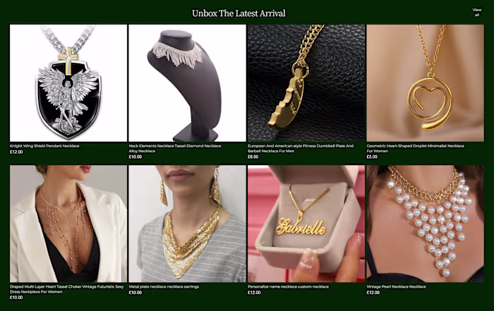 Bigloux Shopify Website
