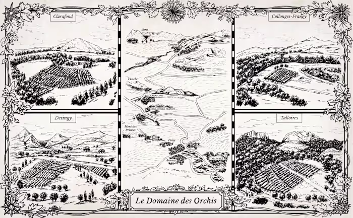 Map Illustration for a wine factory