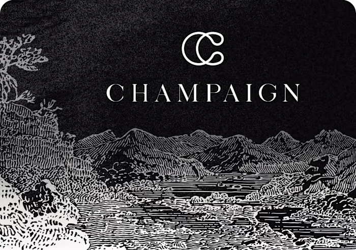 3D-Webdesign & Development | CHAMPAIGN