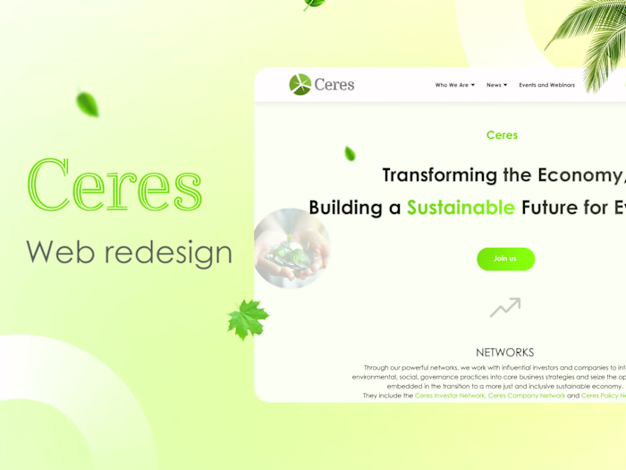 Web Redesign of a Non-profit Website