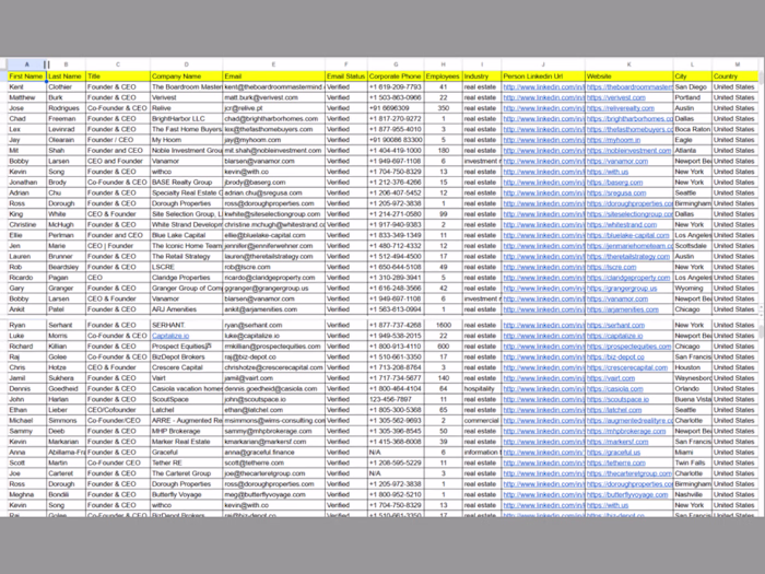 Real Estate Agency Lead Generation (USA)