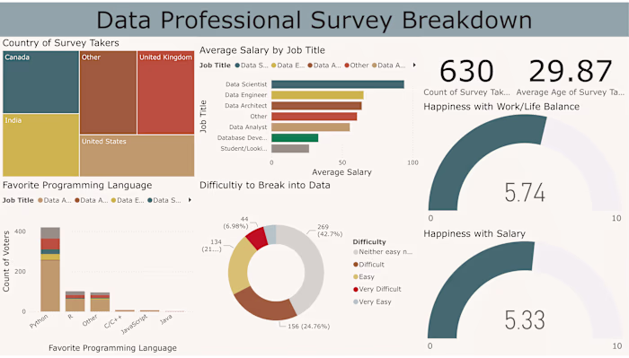 Data Professional Survey Dashboard
