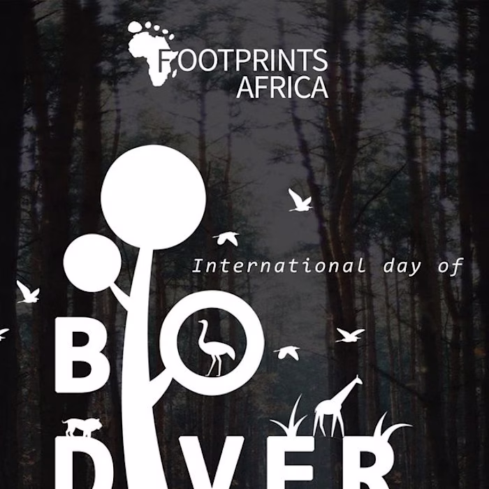 Footprints Africa 🌱 on Instagram: “At Footprints Africa we env…