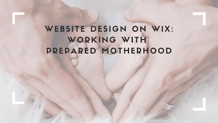 Website Design using WIX