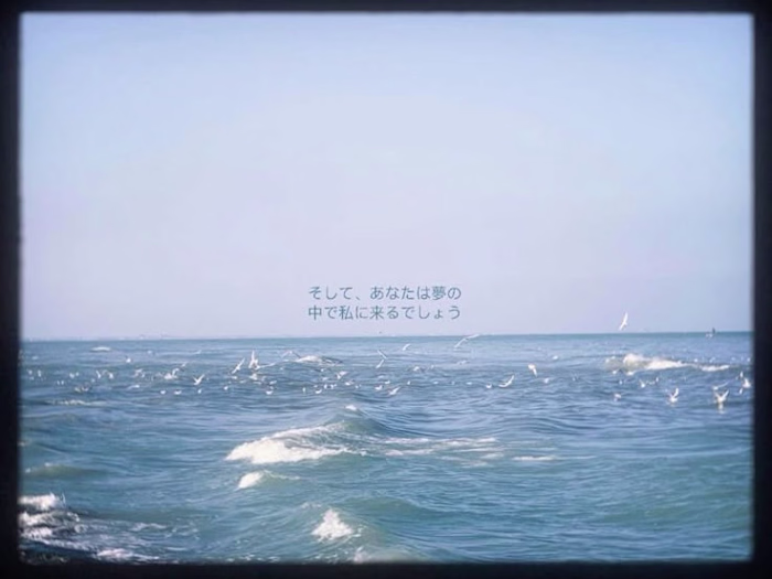 Exploring Japanese Culture and Philosophy through Blogging