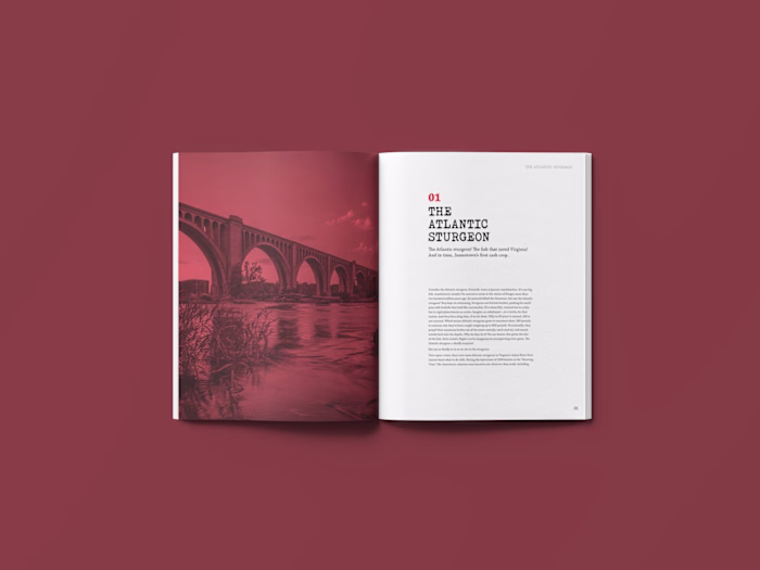 Book Spread & Cover Design 