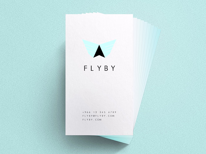 FLYBY
