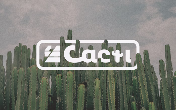 Cacti Creative Co. Brand Identity on Behance