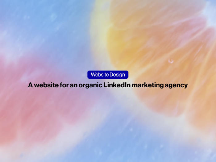 Spectamur WordPress Website Design + Copywriting 