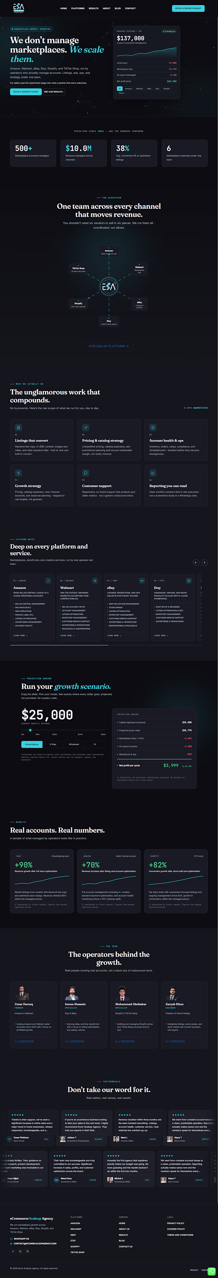 Full WordPress business website built