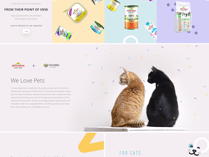 Shopify Website