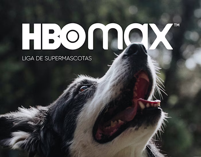 Experiencia - DC Liga de Supermascotas
