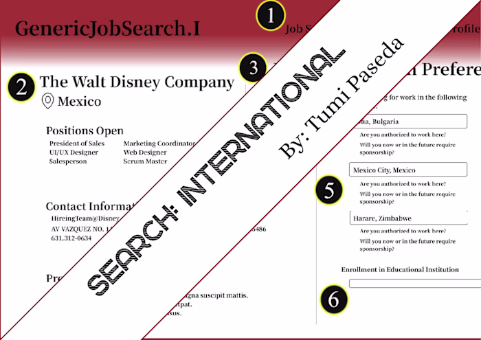 International Job Search Platform Enhancement