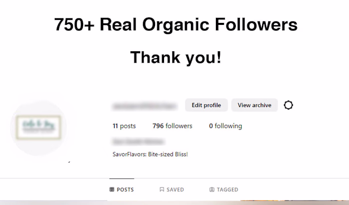 Instagram Organic Followers Growth