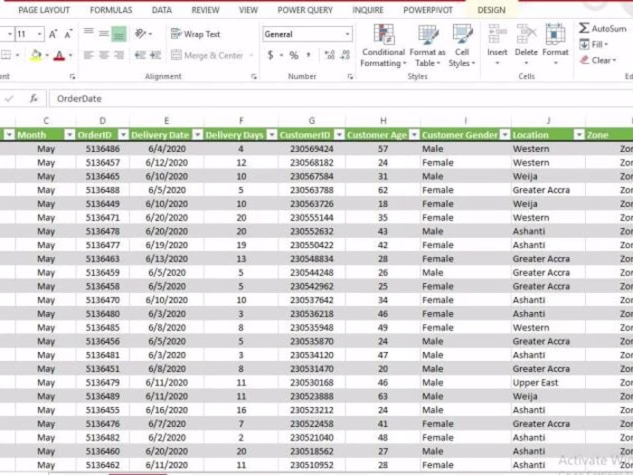 Data Entry and Organization for Sales Report