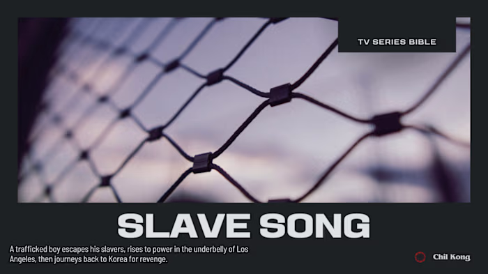 TV series pitch materials