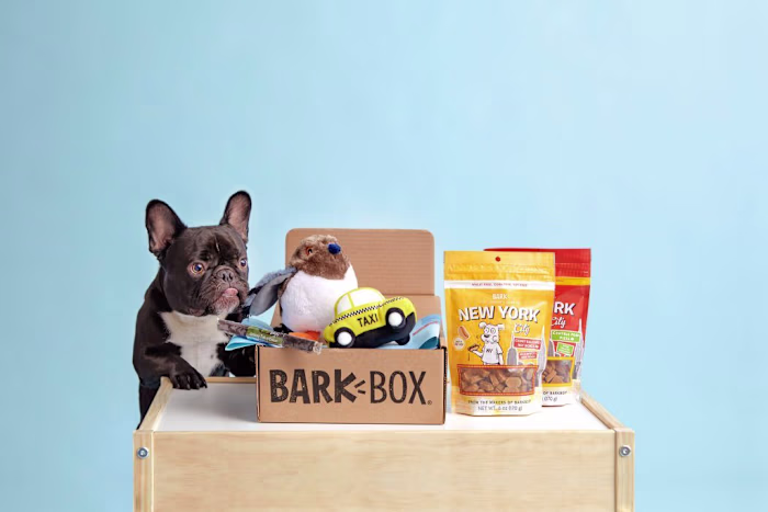 From a Scrappy Startup to a Multi-Million Dollar Brand