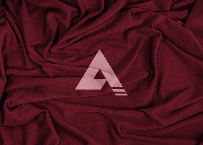 Brand Identity Design for Alexanderflair