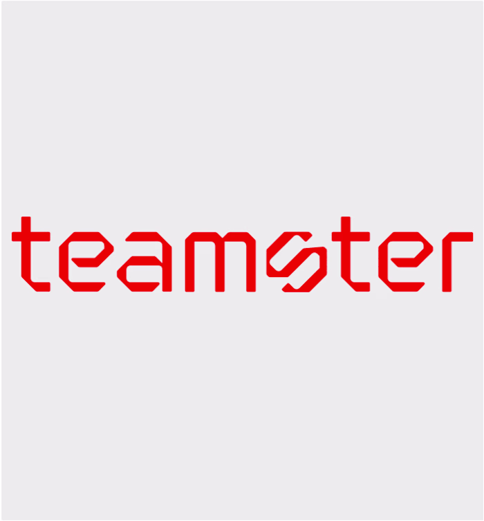 Website Copy For Teamster