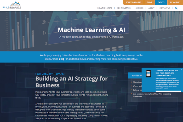 Writing Sample: Machine Learning & AI