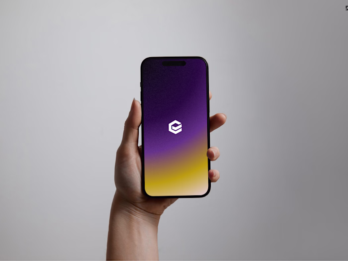 Brand identity crafted for Elvera