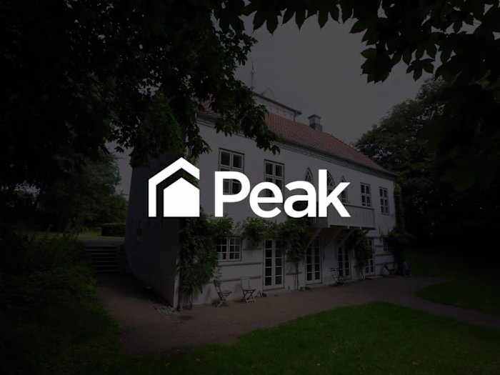 Peak Brand Identity