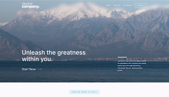 Web Design & Messaging for The Devine Co.