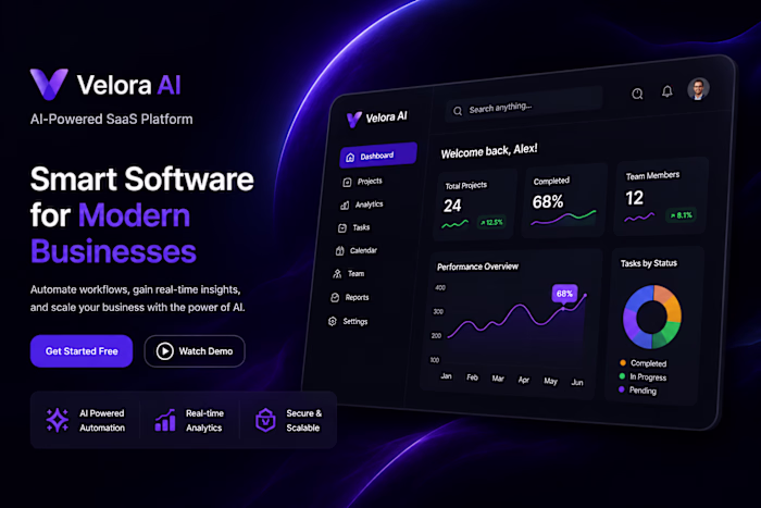 Designed the Velora AI website