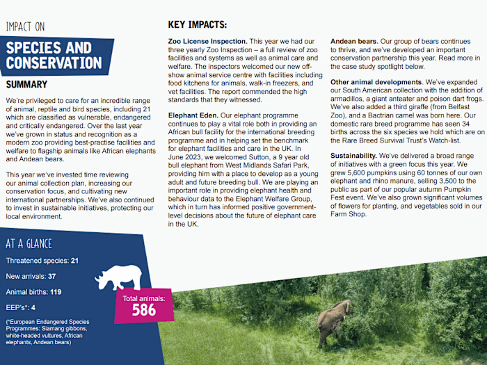 Charity Impact Report - planning and delivery