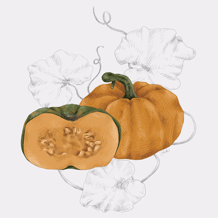 Illustrations: Harvest