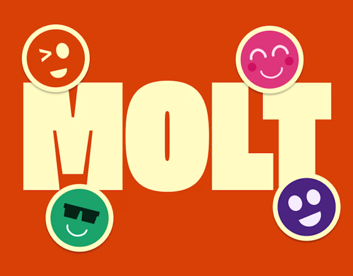 MOLT Chocolate Bar - Product Packaging design