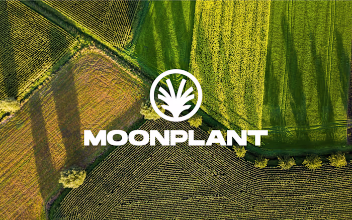 MoonPlant was a branding project