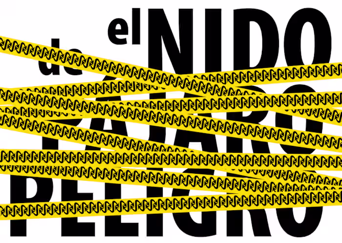 Graphic identity for ElNidoDePájaroPeligro