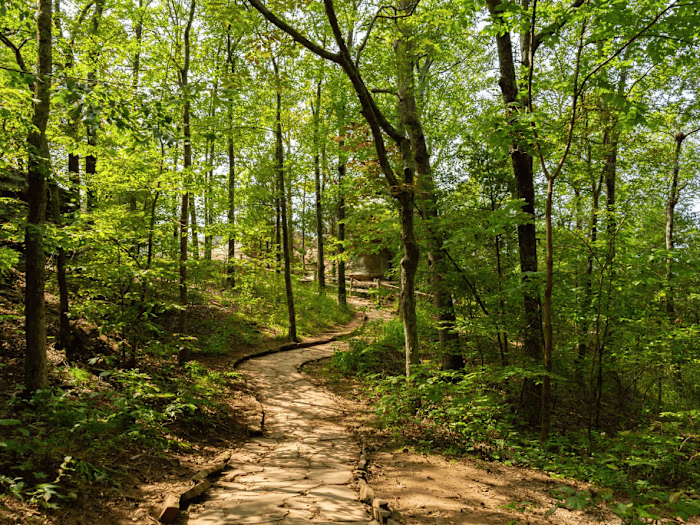 Designed Outdoor Tracking Class for Boston Outdoor School