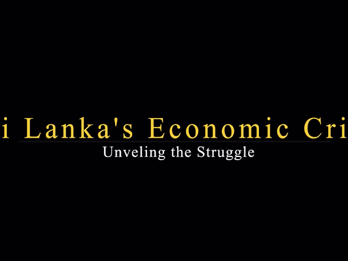 Documentary Video Project