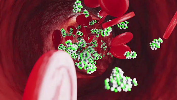 Hair Loss in Men via DHT: 3D Medical Animation